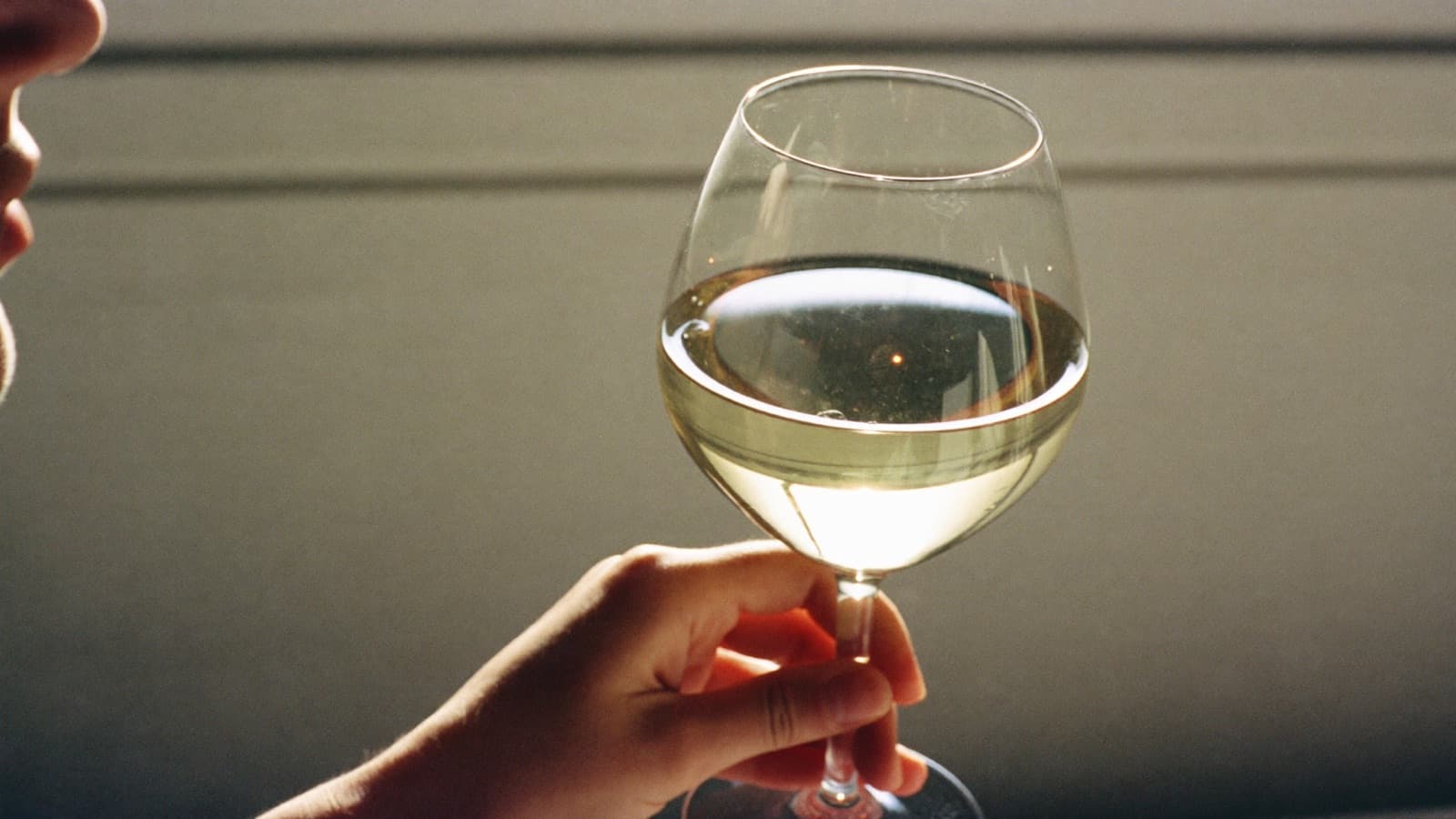 A hand holding a glass of very pale dry white wine up to warm window light